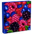 Aha Paper Napkins 3 layers 33 x 33 cm 20 pieces Forest fruit