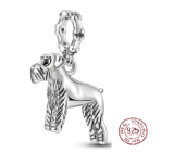 Charm Sterling silver 925 Irish Terrier, animal bracelet pendant