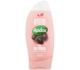 Radox Feel Detoxed regenerating mixture of clay and the scent of Acai berries invigorating shower gel 250 ml