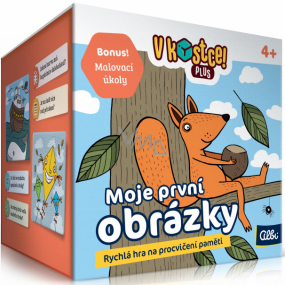 Albi In a Nutshell! Plus My First Pictures fifteen-minute game for memory and knowledge practice recommended age 4+