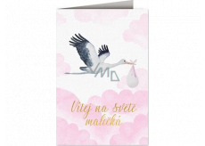 Nekupto Baby birthday card Stork with baby pink 115 x 170 mm 3600 F