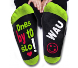 Nekupto Family gifts with humor Socks Today it would work, size 43-46