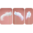 Plush white bird 12 cm + skewers