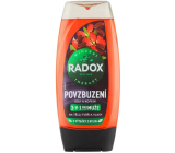 Radox Men 3in1 Encouragement Goji and Caffeine Shower Gel for Men 225 ml
