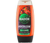 Radox Men 3in1 Encouragement Goji and Caffeine Shower Gel for Men 225 ml