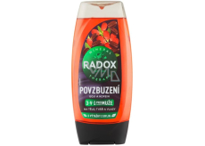 Radox Men 3in1 Encouragement Goji and Caffeine Shower Gel for Men 225 ml