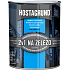 Hostagrund 2v1 S2160 primer and top coat for metal, 0910 aluminum, 600 ml