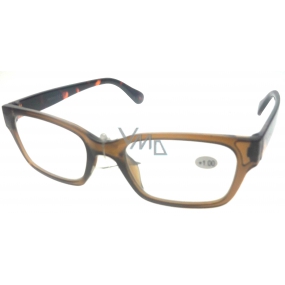Berkeley Reading glasses +3.5 plastic brown 1 piece ER4198