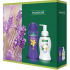 Palmolive Aroma Sensations So Relaxed Shower Gel 250 ml + Magic Softness Jasmine liquid soap dispenser 250 ml, cosmetic set