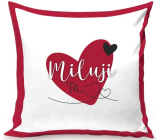 Nekupto Gift pillow with dedication I love you 30 x 30 cm