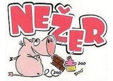 Nekupto Gifts with humor Fridge Magnet Nezer 9 x 6,5 cm