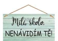 Bohemia Gifts & Cosmetics Decorative picture for hanging Dear school ... 13 x 24 cm