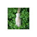 Millefiori Milano Natural White Mint & Tonka - White Mint and Tonka Beans Diffuser 250 ml + 8 reeds, 30 cm long, for medium-sized spaces lasts at least 3 months