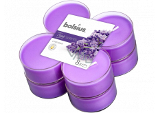 Bolsius Aromatic Levander - Lavender maxi scented tealights 8 pieces, burning time 8 hours