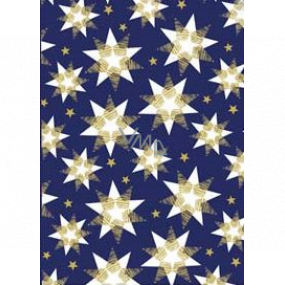 Ditipo Gift wrapping paper 70 x 200 cm Christmas blue white-gold stars