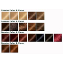 Garnier Color & Shine hair color 3.6 dark red