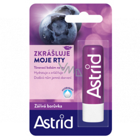 Astrid Radiant Blueberry Vitamin E and Beeswax Tinted Lip Balm 4,8 g