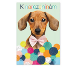 Ditipo Playing birthday card We love animals Jitka Molavcová, Bambini di Praga 224 x 157 mm