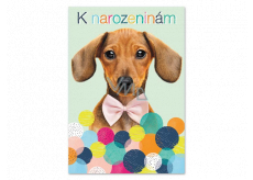 Ditipo Playing birthday card We love animals Jitka Molavcová, Bambini di Praga 224 x 157 mm