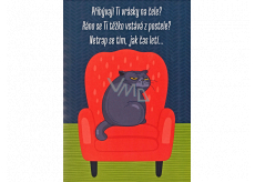 Albi Hrací přání do obálky K narozeninám Kocour v křesle V blbým věku Xindl X 14,8 x 21 cm