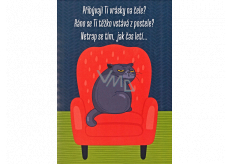 Albi Playing Envelope Birthday Card Puss in the Chair In the Stupid Age Xindl X 14,8 x 21 cm