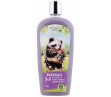 Bohemia Gifts Herbs Blueberry 3in1 shower gel, shampoo and bath foam for children 500 ml