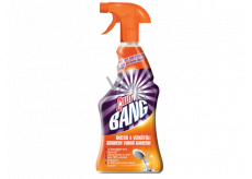 Cillit Bang Limescale & Shine against limescale and for greater gloss 750 ml