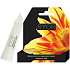 Ryor Argan oil lip balm 15 ml