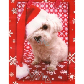 Nekupto Gift paper bag 14 x 11 x 6.5 cm Dog hat 1 piece 474 30 BS