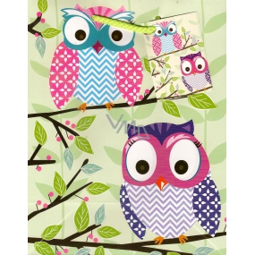 Nekupto Gift paper bag 23 x 18 x 10 cm Green owls 1 piece 830 50 BM