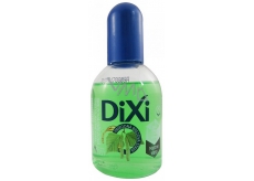 Dixi Březová vlasová voda na suché vlasy 125 ml