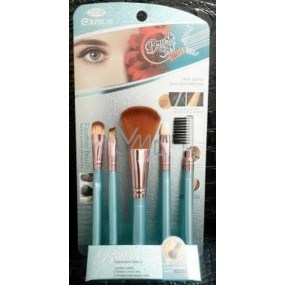 EBM Exmon Cosmetic Brush set of cosmetic brushes 5 pieces BC 291