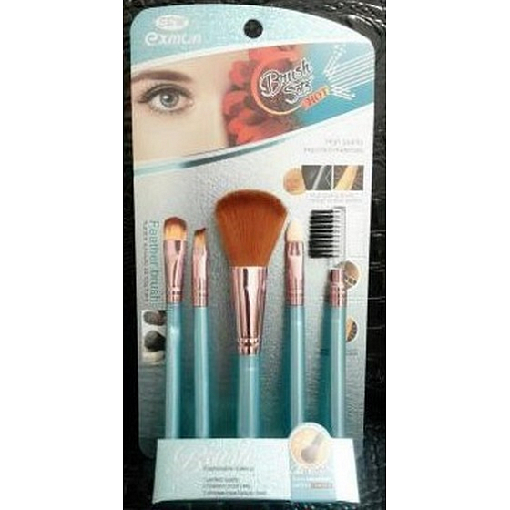 EBM Exmon Cosmetic Brush set of cosmetic brushes 5 pieces BC 291