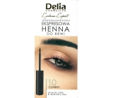 Delia Cosmetics Instant Eyebrown Tint eyebrow color 1.0 black 6 ml