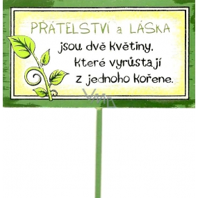 Nekupto Sign in a flowerpot Friendship and love 30 cm