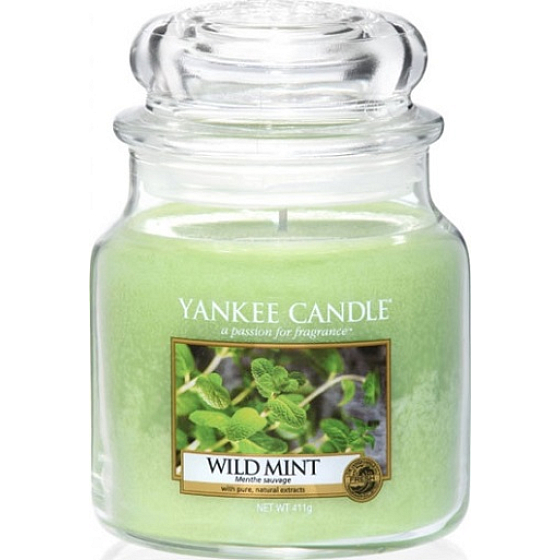 Yankee Candle Wild Mint Classic medium glass 411 g