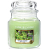 Yankee Candle Wild Mint Classic medium glass 411 g
