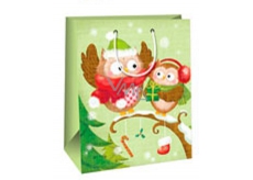 Ditipo Gift Paper Bag Large Light Green 2 Owls Glossy Laminated 26,4 x 13,6 x 32,7 cm AB