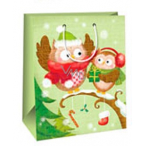 Ditipo Gift paper bag 6.4 x 13.6 x 32.7 cm light green 2 owls glossy laminated AB