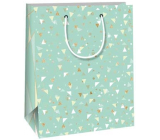 Ditipo Gift paper bag 18 x 10 x 22,7 cm Light green various triangles