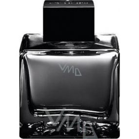 Antonio Banderas Black Seduction Eau de Toilette for Men 100 ml Tester