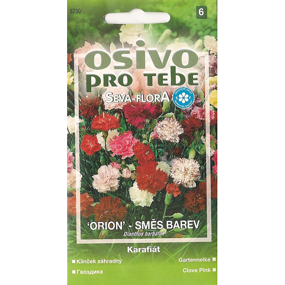 Seva - Flora Carnation Orion - mixture of colors 0,5 g