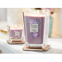 Yankee Candle Sugared Wildflowers - Sweet wild flowers soy scented candle Elevation small glass 1 knot 96 g
