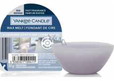 Yankee Candle A Calm & Quiet Place - A peaceful and quiet place fragrant wax for aroma lamps 22 g