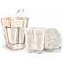 Grace Cole Touch of Harmony body lotion 100 ml + shower gel 100 ml + body sponge, cosmetic set