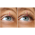 Bourjois Volume Glam Lift & Stretch Mascara 01 Black