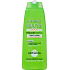 Garnier Fructis Fresh Menthol anti-dandruff shampoo for fast lubricating hair 250 ml