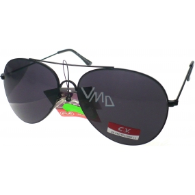 Fx Line Sunglasses 6041