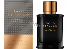 David Beckham Bold Instinct Eau de Toilette for Men 75 ml