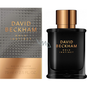 David Beckham Bold Instinct Eau de Toilette for Men 75 ml